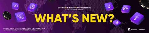 291bet.live|live tv.
